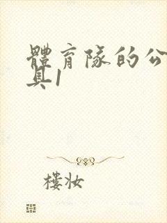 体育队的公用玩具1