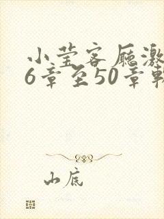 小莹客厅激情46章至50章软件介绍