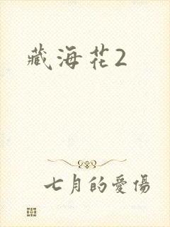 藏海花2封面