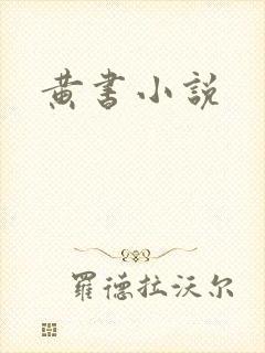 黄书小说