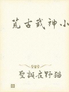 荒古武神小说