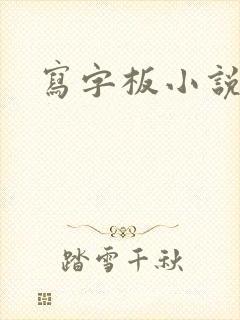 写字板小说