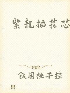 紫龙插花芯方正