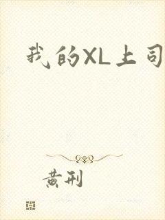 我的XL上司
