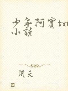 少年阿宾txt小说