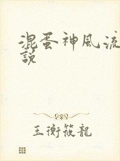 混蛋神风流史小说