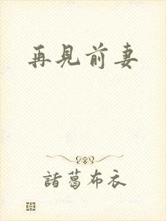 再见前妻