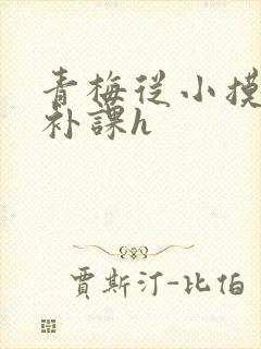 青梅从小摸到大补课h
