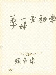 第一章初尝极品少妇