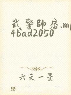 武警帅痞.mp4bad2050