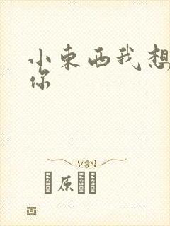 小东西我想弄坏你