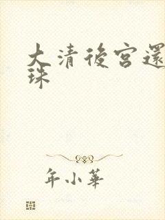 大清后宫还君明珠