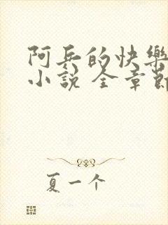 阿兵的快乐生活小说 全章节阅读免费