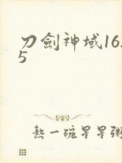 刀剑神域16.5