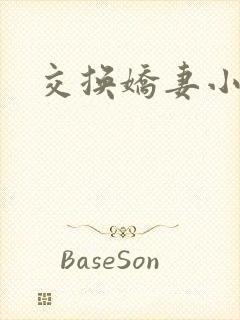 交换娇妻小说