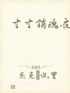 寸寸销魂夜春光