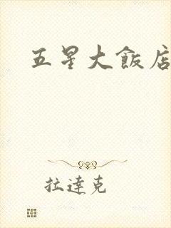 五星大饭店小说