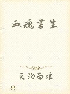 血魂书生
