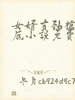 女婿有劲枪枪到底小说免费看