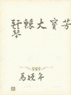 轩辕大宝芳菲雅琴