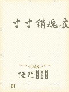 寸寸销魂夜春光