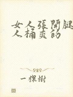 女人张开腿让男人桶爽的