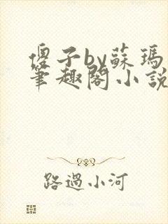 傻子by苏玛丽笔趣阁小说