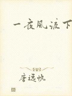 一夜风流下载