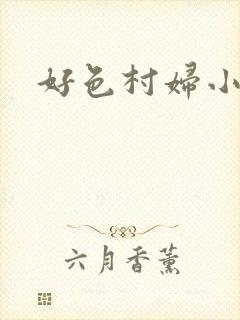 好色村妇小银贼