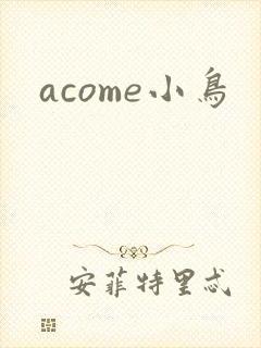 acome小鸟