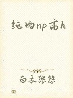 纯肉np高h封面