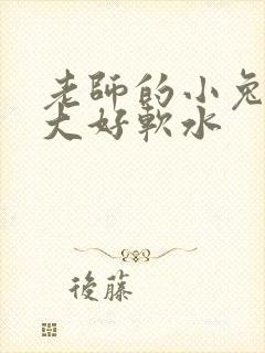 老师的小兔子好大好软水