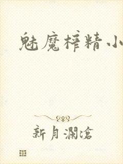 魅魔榨精小说