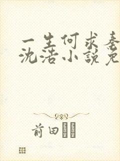 一生何求秦菲雪沈浩小说免费阅读全文