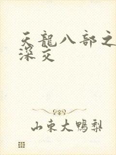 天龙八部之极乐深交