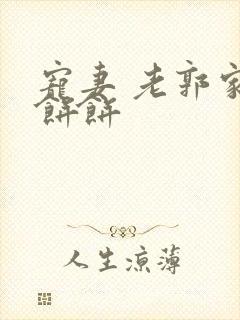 宠妻 老郭家的饼饼封面