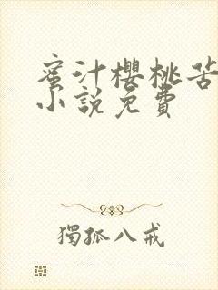 蜜汁樱桃苦咖啡小说免费