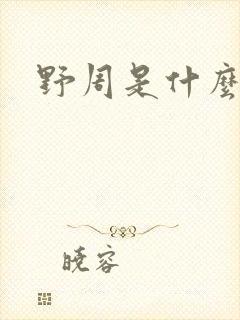 野周是什么意思