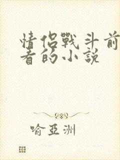 情侣战斗前适合看的小说