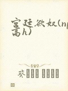 宫廷欲奴(np高h)
