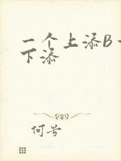 一个上添B一个下添