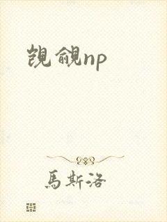 觊觎np