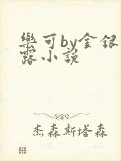 乐可by金银花露小说