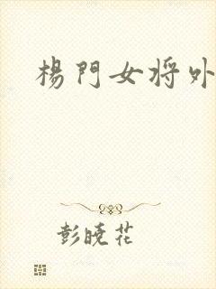 杨门女将外传