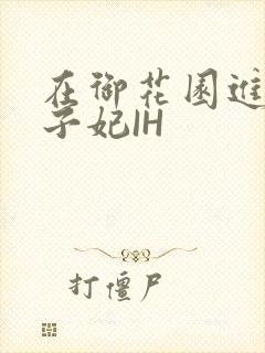 在御花园进入太子妃IH