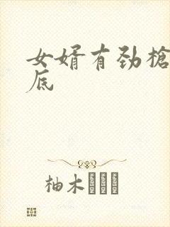 女婿有劲枪枪到底