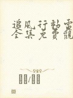 追风行动电视剧全集免费观看封面