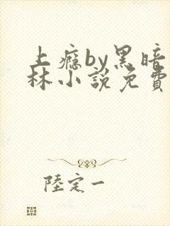 上瘾by黑暗森林小说免费