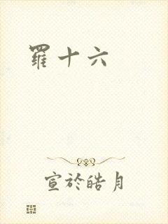 罗十六封面
