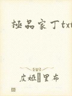极品家丁txt